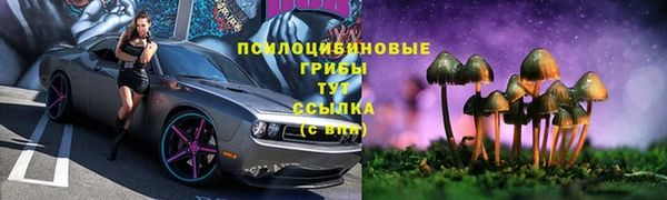 хмурый Белоозёрский