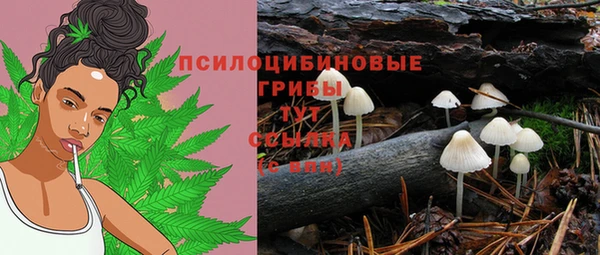 хмурый Белоозёрский